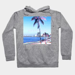 aesthetic palm Puerto Vallarta VHS Hoodie